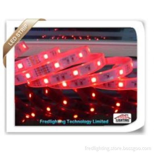 SMD5050 RGB Waterproof LED Strip , Neon Lights
